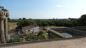 finca-3